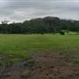 Scenic NSW Equine Centre