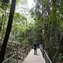 Scenic World