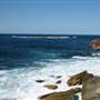 Wedding Cake Island - Coogee Beach