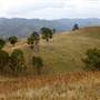 Wollondilly River Station