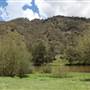 Wollondilly River Station