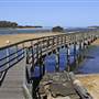 Urunga
