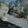 Wybalena Grove, Cook - Canberra