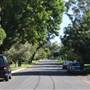 Lindfield
