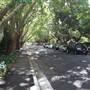 Water St - Pymble