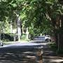 Water St - Pymble