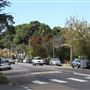 Willoughby residential road