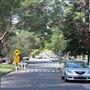 Willoughby residential road