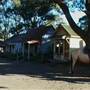 Australiana Pioneer Village