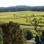 Mullumbimby Area