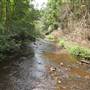 Killen Falls