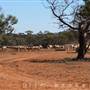 Broken Hill