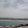 Bondi Icebergs
