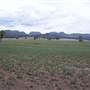 Baradine to Coonabarabran road