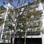 Australian School of Business - University of NSW