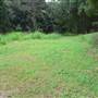 Cascade Falls Farm