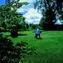 Armidale Area