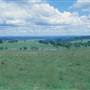 Armidale Area