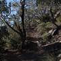 Bushrangers Cave