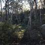 Bardens Lookout