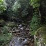 Minnamurra Rainforest Walk