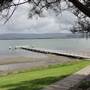 Lake Illawarra South-Boonerah