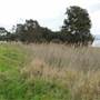 Lake Illawarra South-Boonerah