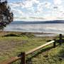 Lake Illawarra North-Purry Burry Avenue