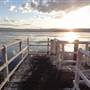 Lake Illawarra North-Purry Burry Avenue