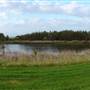 Lake Illawarra North-Budjong Creek Wetland
