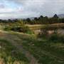 Lake Illawarra North-Budjong Creek Wetland