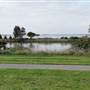 Lake Illawarra North-Budjong Creek Wetland