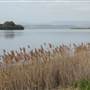Lake Illawarra North-Holborn Park