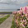 Lake Illawarra North-Holborn Park