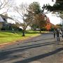 American style - houses & streets