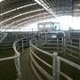 Central West Livestock Exchange