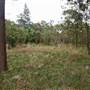 Yarramundi Reserve