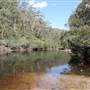 Georges River Nature Reserve