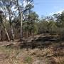 Georges River Nature Reserve