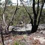 Ted Horwood Reserve