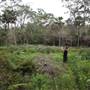 Narrabeen