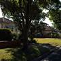 Chullora - Hillcrest Ave