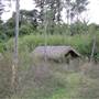 Brownlow Hill - File 2