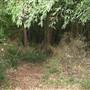 Brownlow Hill - File 2
