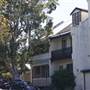 Bondi Junction Homes