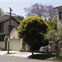 Vaucluse Homes