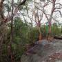 Bradley Reserve