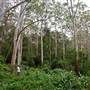 Bradley Reserve