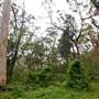 Bradley Reserve