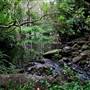 Bradley Reserve